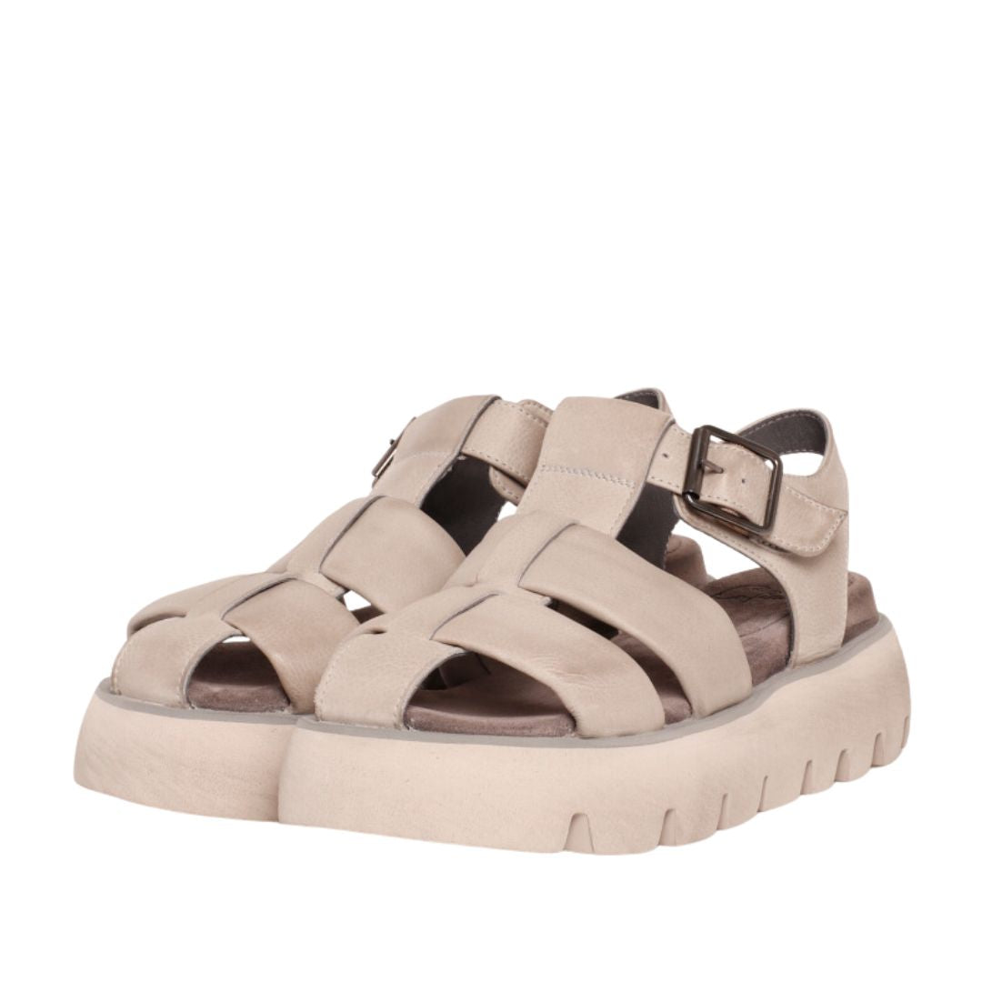 Lofina sandal, perla akoy, Lys grå